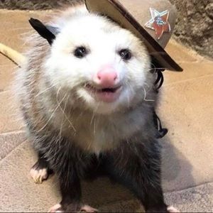 Meet your Posher, Lillian